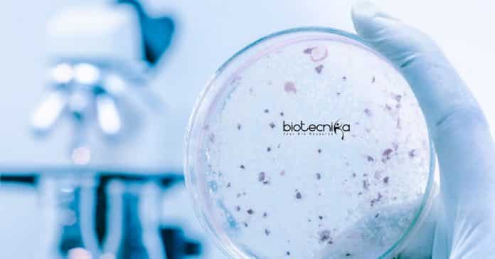 CSIR-IICB Microbiology Project Associate
