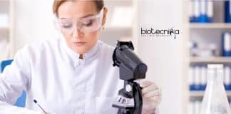 CSMCRI Biotech Job