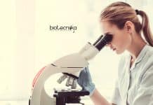 CSIR-CSMCRI Project Associate Job – Biotech / Microbiology & Mol Bio Apply CSMCRI Project Jobs