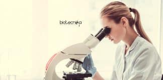 CSMCRI Project Jobs
