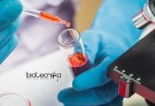 University of Calcutta Research Fellow Job For Life Science Calcutta University Fellowships