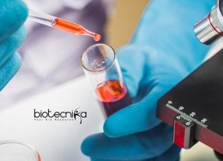 Calcutta University Fellowships