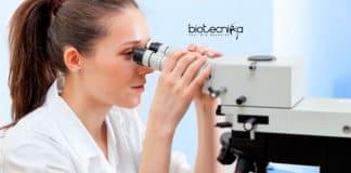 Calcutta University SRF Vacancy