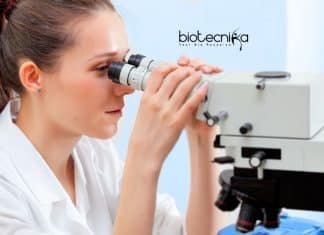 Calcutta University SRF Vacancy