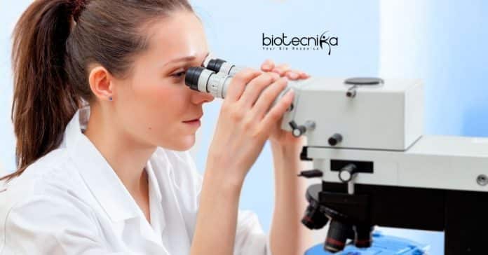 Calcutta University SRF Vacancy