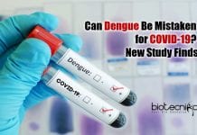 Study Reports Dengue Virus Tests May Sometimes Return ‘Positive’ for Coronavirus Can Dengue Be Mistaken for COVID-19?