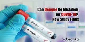 Can Dengue Be Mistaken for COVID-19?