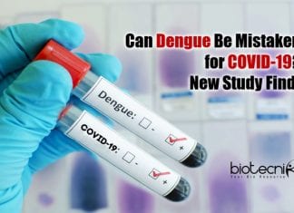 Can Dengue Be Mistaken for COVID-19?