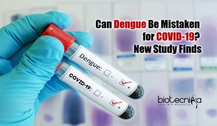 Can Dengue Be Mistaken for COVID-19?