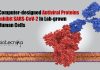 Researchers Develop Computer-Designed Antiviral Proteins Inhibiting SARS-CoV-2 in The Lab Computer-designed Antiviral Proteins