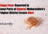 Congo Fever Reported in Some Parts of Gujarat: Maharashtra’s Palghar District Issues Alert Congo Fever in Palghar District