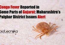 Congo Fever Reported in Some Parts of Gujarat: Maharashtra’s Palghar District Issues Alert Congo Fever in Palghar District