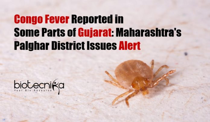 Congo Fever in Palghar District