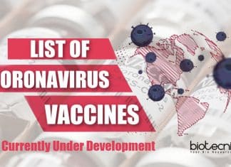 Coronavirus Vaccines Under Development