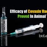 Efficacy Of India’s Covid-19 Vaccine Covaxin Proved in Animal Trials Covaxin efficacy in animal trial