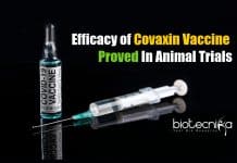 Covaxin efficacy in animal trial