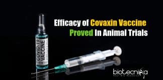 Covaxin efficacy in animal trial