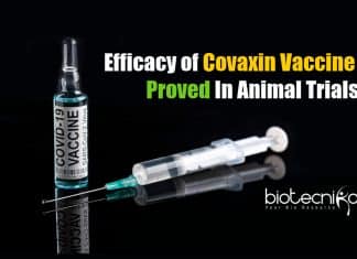 Covaxin efficacy in animal trial