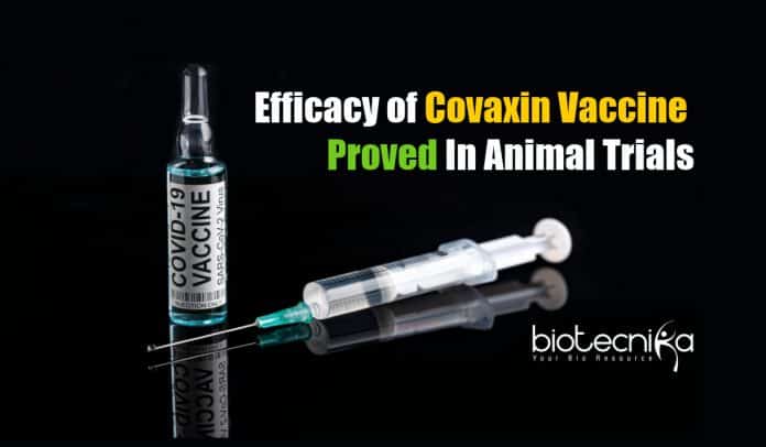 Covaxin efficacy in animal trial