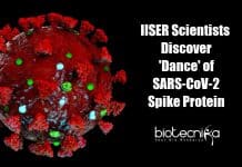 IISER Scientists Describes The ‘Dance’ Of SARS-CoV-2 Spike Protein – Aiding In Vaccine Development Dance of SARS-CoV-2 spike protein