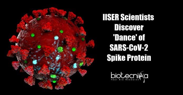 Dance of SARS-CoV-2 spike protein