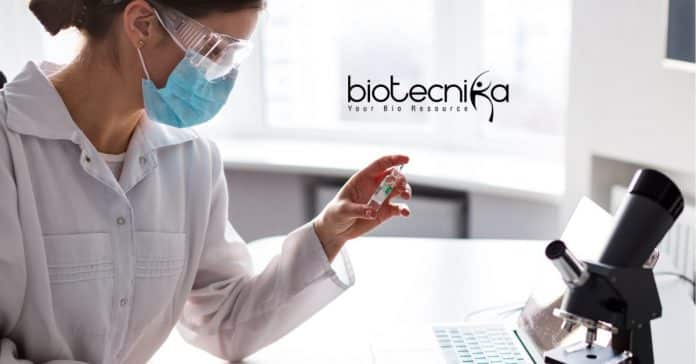 Eli Lilly CDM Jobs
