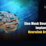 Neuralink Brain Implant: Elon Musk Unveils Pig With Computer Chip in Brain Elon Musk's Neuralink In A Pig