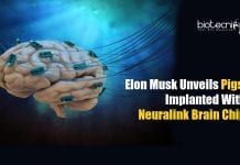 Neuralink Brain Implant: Elon Musk Unveils Pig With Computer Chip in Brain Elon Musk's Neuralink In A Pig