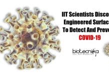 Detecting & Preventing Coronavirus Using Engineered Surfaces By IIT Scientists Engineered surfaces to detect coronavirus