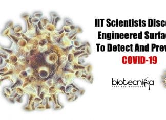 Engineered surfaces to detect coronavirus