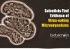 Evidence of Virus-eating Microorganisms
