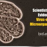 Compelling Evidences of Virus-Eating Microorganisms Found By Scientists Evidence of Virus-eating Microorganisms