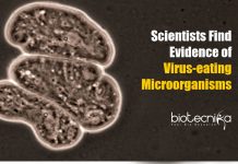 Compelling Evidences of Virus-Eating Microorganisms Found By Scientists Evidence of Virus-eating Microorganisms