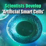 Artificial Smart Cells