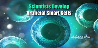 Artificial Smart Cells