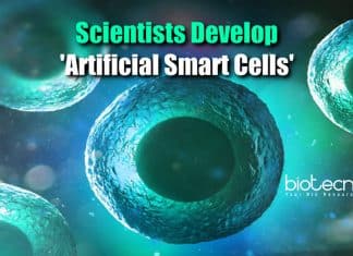 Artificial Smart Cells