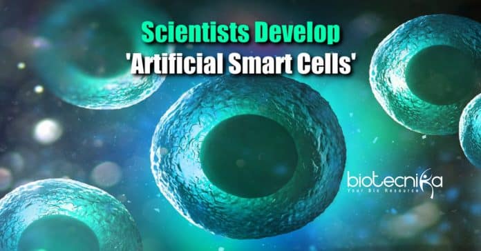 Artificial Smart Cells