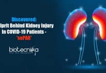 suPAR - culprit behind kidney injury