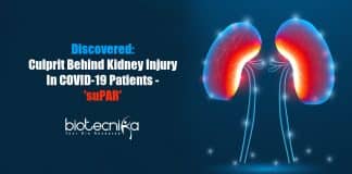 suPAR - culprit behind kidney injury