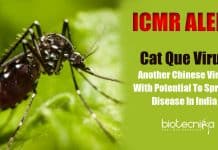 “Cat Que Virus” – ICMR Alerts Of Another Chinese Virus With Potential To Spread Disease In India Cat Que Virus