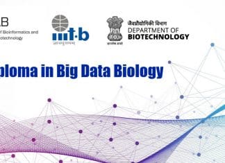 PG Diploma at IBAB