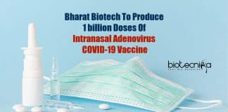 Intranasal adenovirus vaccine