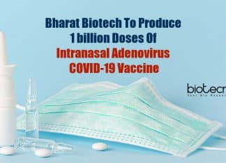 Intranasal adenovirus vaccine