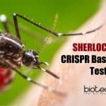 SHERLOCK assay