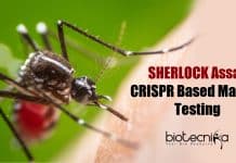 CRISPR Based Malaria Test – The SHERLOCK Assay SHERLOCK assay
