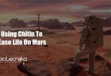 Chitin Bioinspired Material To Build Tools & Shelters On Mars Chitin Bioinspired Material To Build Tools & Shelters On Mars