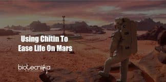 Chitin Bioinspired Material To Build Tools & Shelters On Mars