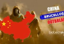 China Brucellosis Outbreak : Thousands Infected After Factory Leak Brucellosis Outbreak in China