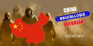 Brucellosis Outbreak in China