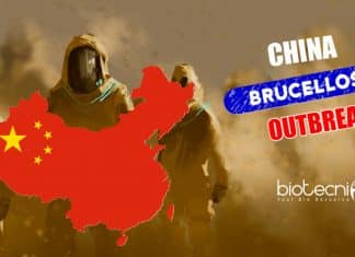China Brucellosis Outbreak : Thousands Infected After Factory Leak Brucellosis Outbreak in China